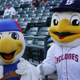 Image for article titled The boys of… spring? Full-season baseball back in Brooklyn for the first time since 1957